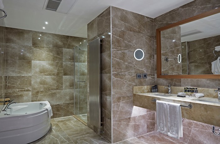 Imagen de la habitación del Dedeman Kayseri. Foto 13