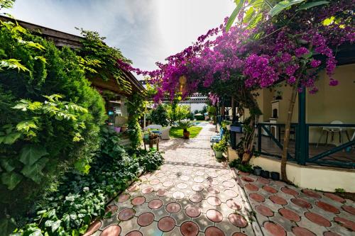 Imagen general del Dedeminn Garden Hotel, G&Ouml;CEK. Foto 1