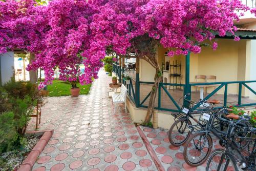 Imagen general del Dedeminn Garden Hotel, G&Ouml;CEK. Foto 4