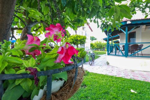 Imagen general del Dedeminn Garden Hotel, G&Ouml;CEK. Foto 5