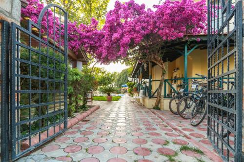 Imagen general del Dedeminn Garden Hotel, G&Ouml;CEK. Foto 7
