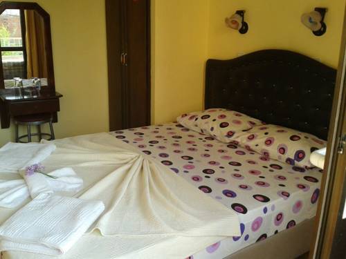 Imagen de la habitación del Defne & Zevkim Hotel. Foto 3