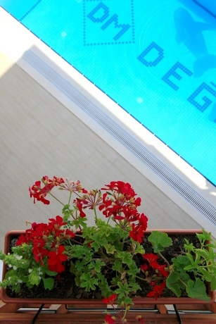 Imagen de la piscina del Deger Apart. Foto 19