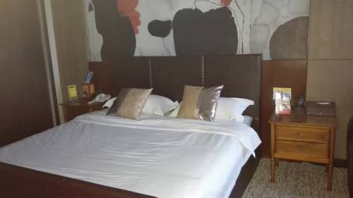 Imagen de la habitación del Dehong Shangshui Spa Hotel. Foto 3