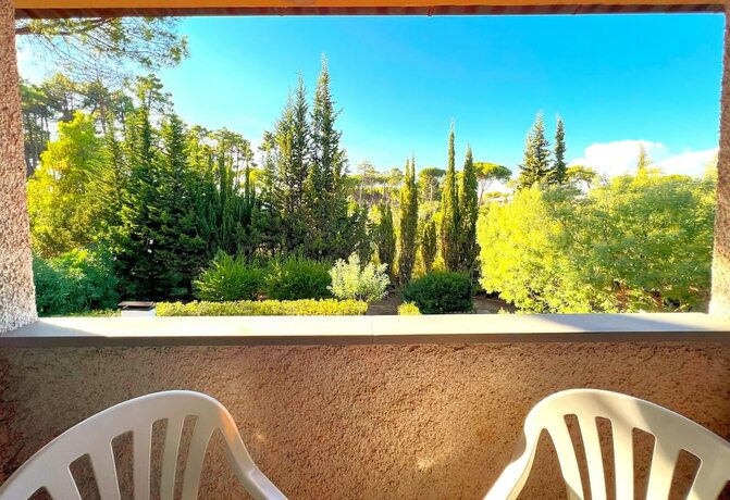 Imagen general del Delfini, Grosseto. Foto 6