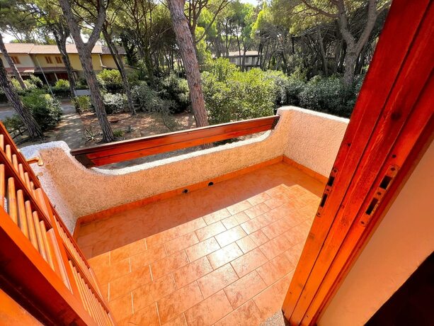 Imagen general del Delfini, Grosseto. Foto 12