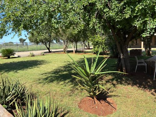 Imagen general del Della Vista guesthouse & restaurant. Foto 7