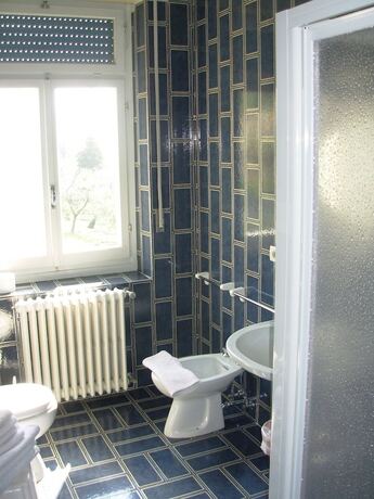 Imagen general del Delle Rose, Torri Del Benaco. Foto 3