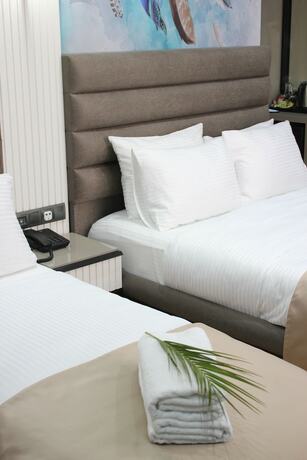 Imagen general del Dem Hotel Premium - New İstanbul Airport. Foto 1