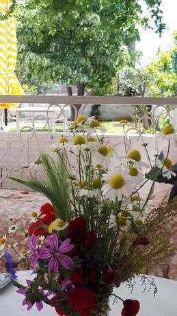 Imagen general del Demetgul Apart Pansiyon. Foto 17