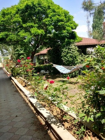 Imagen general del Deniz Kizi Otel. Foto 5