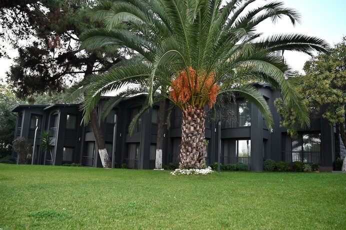 Imagen de la habitación del Denizati Plus Hotel. Foto 19