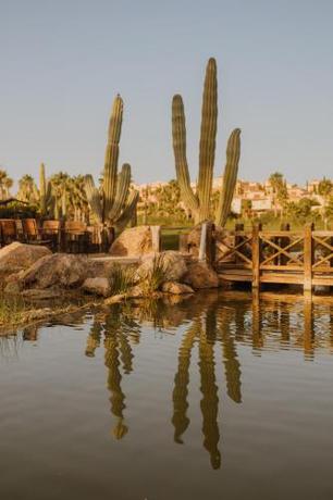 Imagen general del Desert Springs Resort. Foto 2