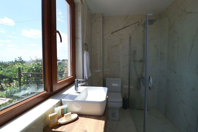 Imagen de la habitación del Dessera Vineyards Hotel. Foto 2
