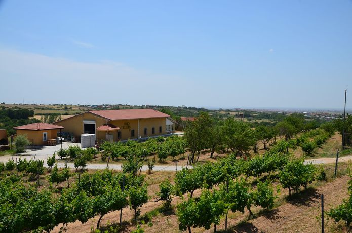 Imagen de los interiores del Dessera Vineyards Hotel. Foto 16