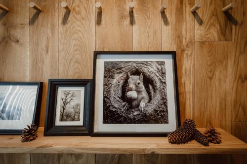 Imagen general del Die Maise - Naturhotel. Foto 4