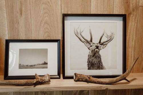 Imagen de la habitación del Die Maise - Naturhotel. Foto 16