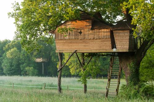 Imagen de la habitación del Dihan Evasion. Foto 2