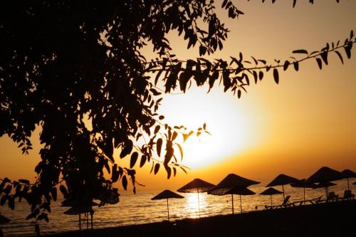 Imagen de la habitación del Dikelya Hotel. Foto 7