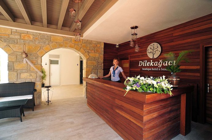 Imagen de los interiores del Dilekagaci Boutique Hotel and Beach. Foto 12