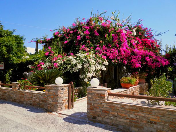 Imagen general del Dimitra Studios, Naxos. Foto 1