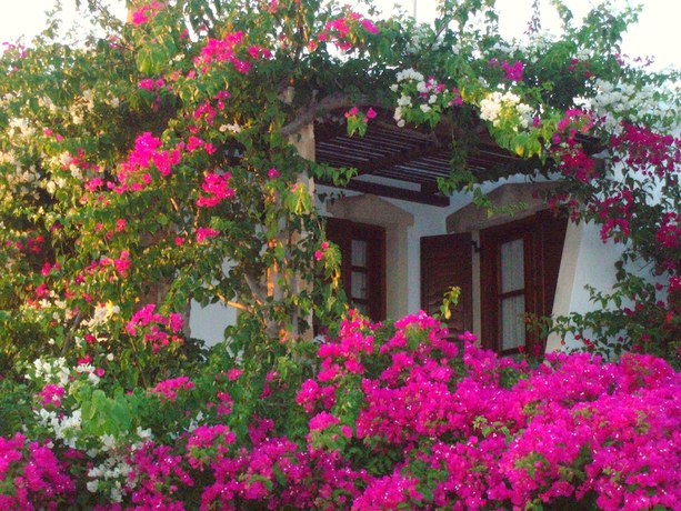 Imagen de la habitación del Dimitra Studios, Naxos. Foto 10