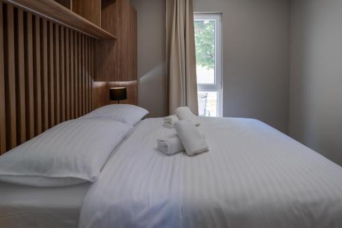 Imagen general del Dionis Zaton - Camping, Glamping, Holiday Houses & Rooms. Foto 12