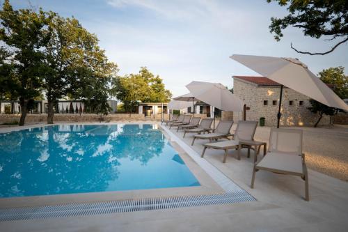 Imagen general del Dionis Zaton - Camping, Glamping, Holiday Houses & Rooms. Foto 14