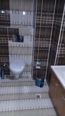 Imagen de la habitación del Diyvan Otel. Foto 11