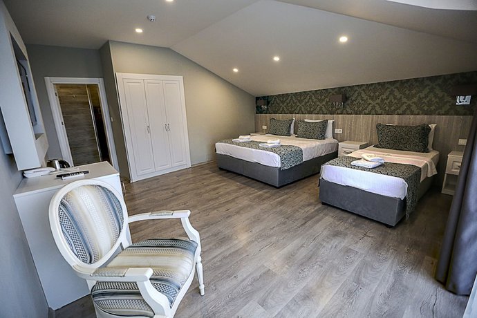 Imagen de la habitación del Doa Suite Hotel, Trabzon. Foto 17