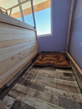 Imagen general del Dog Hotel Sunny Beach. Foto 2