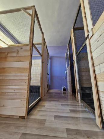 Imagen general del Dog Hotel Sunny Beach. Foto 8