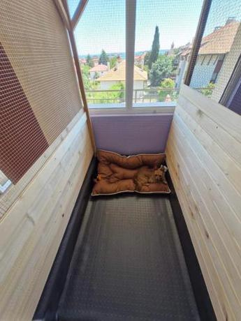 Imagen general del Dog Hotel Sunny Beach. Foto 15