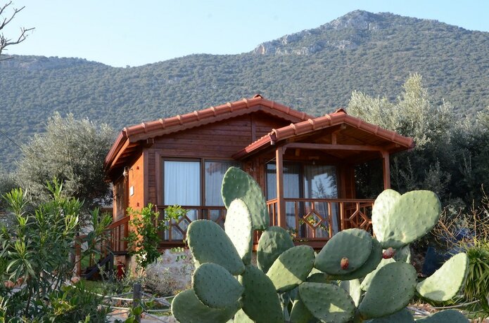 Imagen general del Doganin Ruhu Hotel and Bungalow. Foto 6