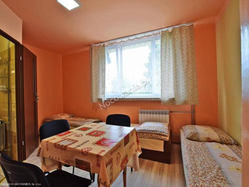 Imagen de la habitación del Dom Wycieczkowy SALUS. Foto 7