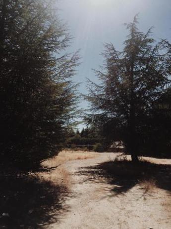 Imagen de la habitación del Domaine De La Vitarelle Glamping. Foto 9