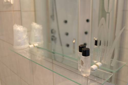 Imagen de la habitación del Domaine Lacs De Gascogne. Foto 4