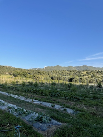 Imagen de los exteriores del Domaine Machja. Foto 19