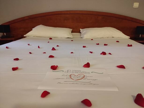 Imagen general del Domaine de Blanchardière. Foto 2