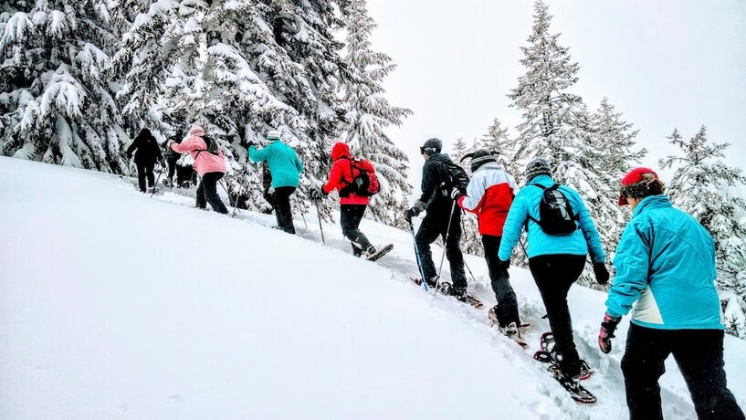 Imagen general del Domaine de L\'Adoux. Foto 4