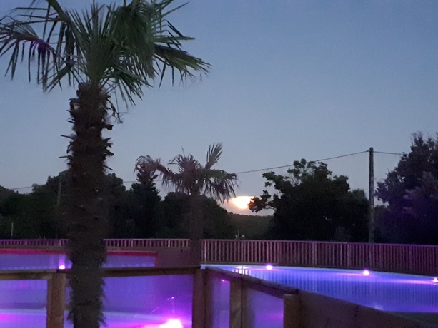Imagen de la piscina del Domaine de La Roudeliere. Foto 18