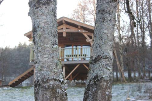 Imagen general del Domaine de Ribeaugoutte. Foto 5