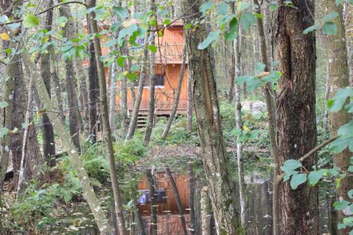 Imagen de la habitación del Domaine de Ribeaugoutte. Foto 16