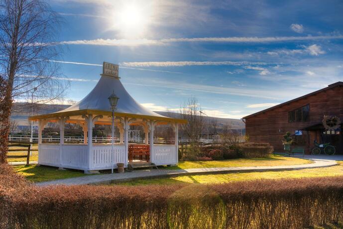 Imagen general del Domeniul Dracula Daneș. Foto 44