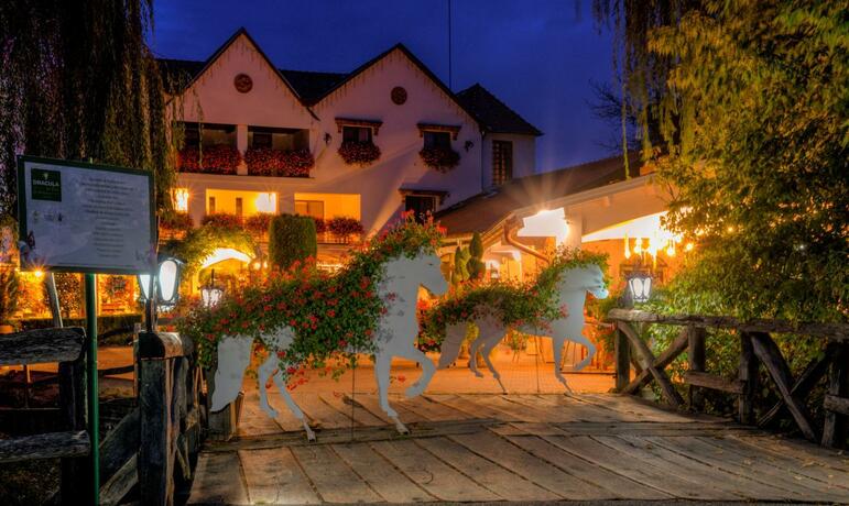 Imagen general del Domeniul Dracula Daneș. Foto 46