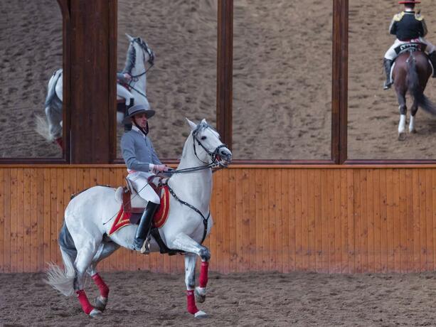 Imagen general del Domeniul Dracula Daneș. Foto 47