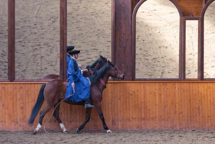 Imagen general del Domeniul Dracula Daneș. Foto 51