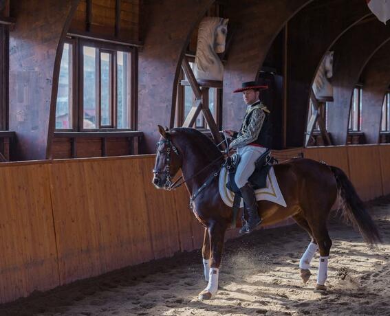 Imagen general del Domeniul Dracula Daneș. Foto 53