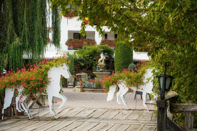 Imagen general del Domeniul Dracula Daneș. Foto 98