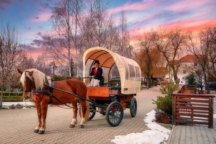 Imagen general del Domeniul Dracula Daneș. Foto 102